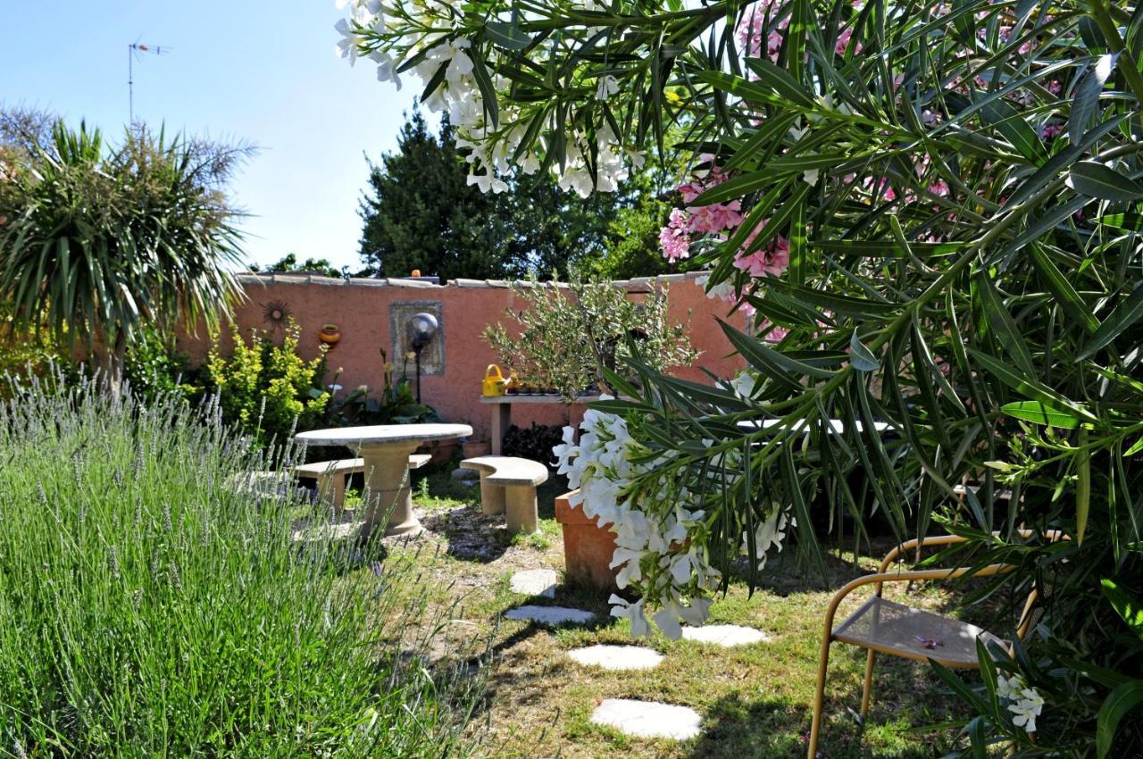 Maison Des Croisades Aigues-Mortes Exterior foto